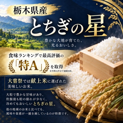 【令和8年産】キラキラ輝く大粒の恵み!栃木県産とちぎの星10kg(精米)