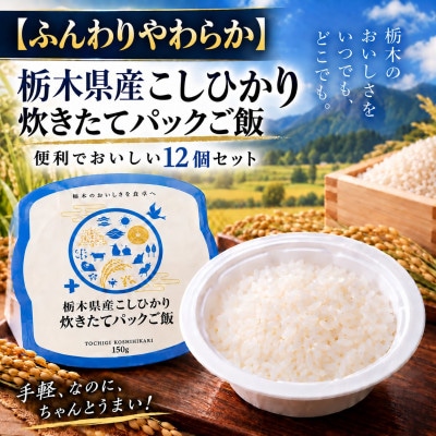 【ふんわりやわらか】栃木県産こしひかり 炊きたてパックご飯　便利でおいしい12個セット