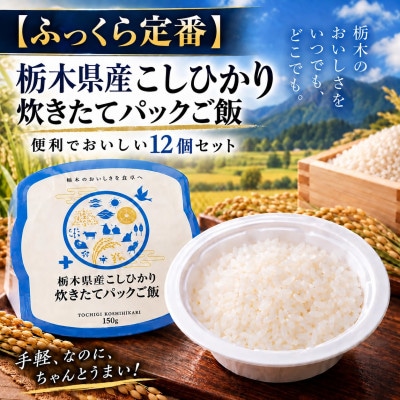 【ふっくら定番】栃木県産こしひかり 炊きたてパックご飯　便利でおいしい12個セット