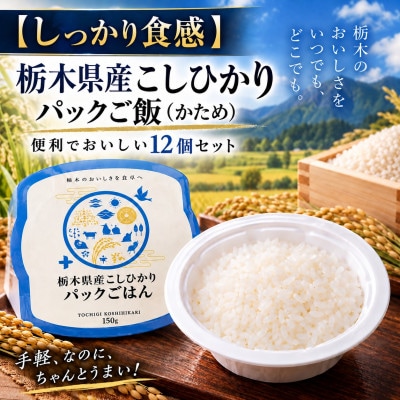 【しっかり食感】栃木県産こしひかり パックご飯(かため)便利でおいしい12個セット