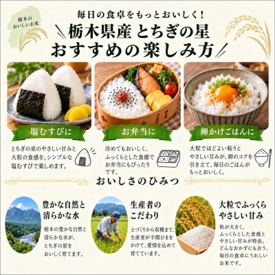 【令和8年産】キラキラ輝く大粒の恵み!栃木県産とちぎの星無洗米20kg　もちもち美味しいお米