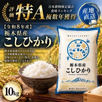 【令和8年産】栃木の豊かな自然で育んだふっくらあま～いこしひかり 約10kg(精米)　