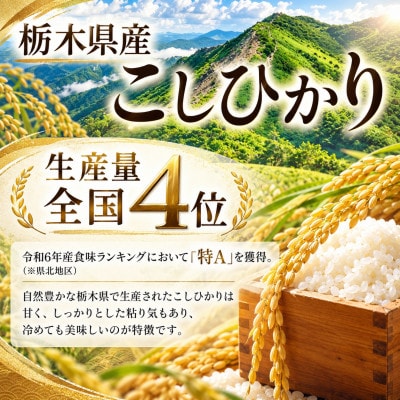 【令和8年産】栃木の豊かな自然で育んだふっくらあま～いこしひかり 約10kg(精米)　