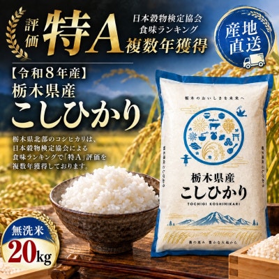 【令和8年産】毎日いそがしいあなたへ　栃木県産こしひかり 無洗米20kg