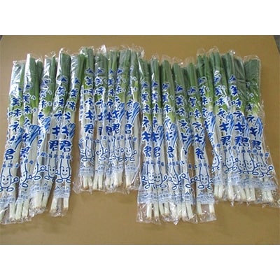 美味ネギ君　6kg(300g×20袋入)