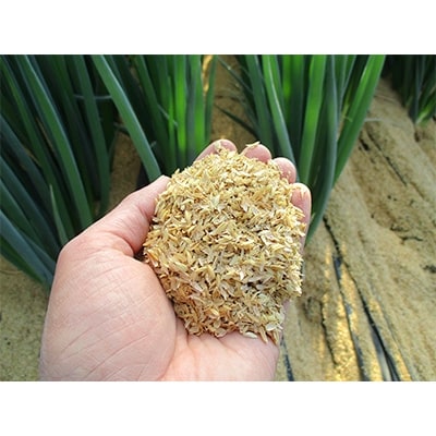 美味ネギ君　6kg(300g×20袋入)