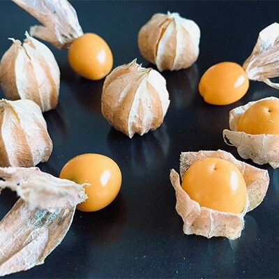 2021年12月発送開始『定期便』日高町産フルーツほおずき使用プレミアム生乳ジェラート D 全12回