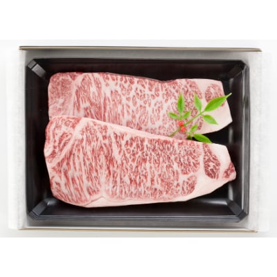 北海道産日高牛サーロインステーキ 360g(180g×2)