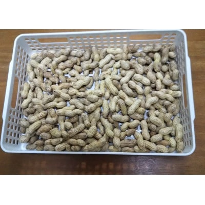 【先行受付】落花生から付き生(茹で用)　1kg