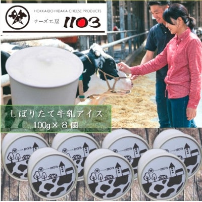 日高チーズ工房1103 しぼりたて牛乳アイス 100g×8個