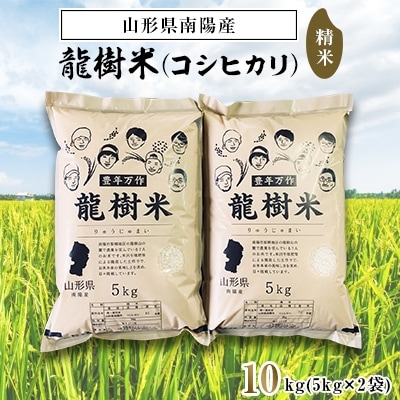 【令和6年産】山形県産コシヒカリ10kg(5kg×2袋)【S836】
