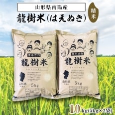【令和5年産】山形県産～龍樹米～はえぬき10kg(5kg×2袋)【S835】