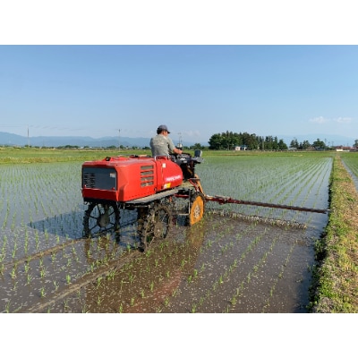 山形つや姫玄米パックご飯　150g×12P　～栽培期間中　農薬・化学肥料不使用～【S1224】