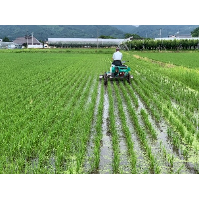 山形つや姫玄米パックご飯　150g×12P　～栽培期間中　農薬・化学肥料不使用～【S1224】