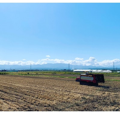 【令和7年産新米予約】【金賞受賞】山形県南陽産ミルキークイーン5kg　精米【S1774】