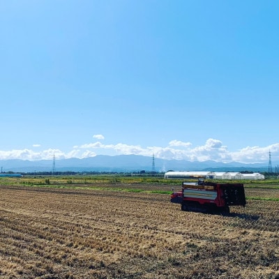 令和6年産　山形県産つや姫　精米　25kg(5kg×5袋)　農薬使用8割減特別栽培米【S1965】