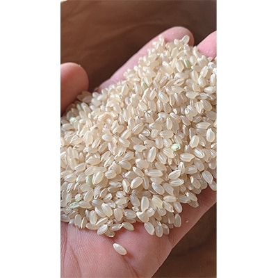 2022年2月発送開始『定期便』山形県南陽産つや姫4kg(2kg×2袋)全5回【S1330】