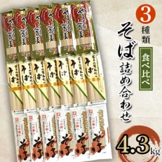 そば詰め合わせ 4.3kg 【S2】 | ふるさと納税のお礼品
