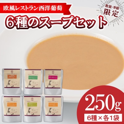 欧風レストラン西洋葡萄の6種のスープセット(1袋250g×6種類)【S1667】