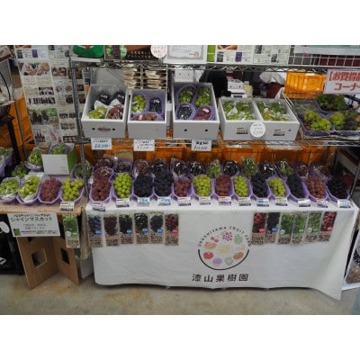 【先行受付】高級ぶどう種なし品種5房詰め合わせ【S662】