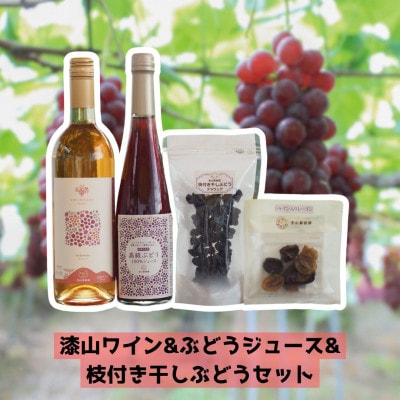 漆山ワイン&ぶどうジュース&枝付き干しぶどうセット【S784】