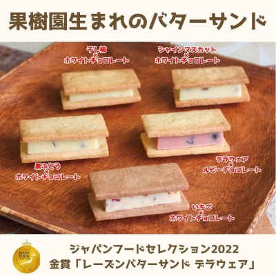 YAMAGATA　陽果ドライバターサンド　Gift set　5種各1個【S1379】