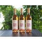 果樹園生まれの 「漆山ワイン (デラウェア)」 750ml×3本セット【S1168】