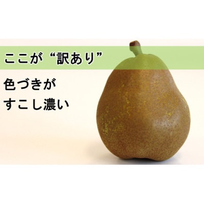 〈訳あり品 家庭用〉 ラ・フランス 約5kg (10～18玉)  [1047]