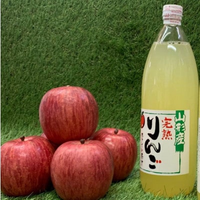 雪ん子*完熟蜜入りふじりんご(約4.5kg)&りんごジュース【S1780】