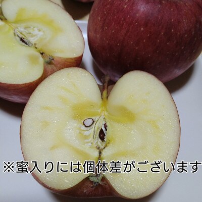 雪ん子【規格外】完熟蜜入りふじりんご(約4.5kg)&りんごジュース【S1781】