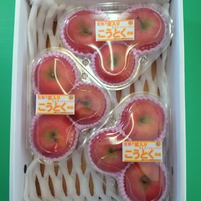 完熟★蜜入り★ こうとく(高徳)りんご　約1.5～1.7kg【S2666】