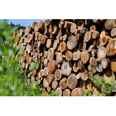 火のごちそう Fire wood MIX(焚き火用薪)5kg【S1200】
