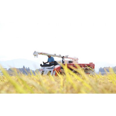 令和6年度産山形県産　特別栽培米　雪若丸2kg(精米)【S1579】