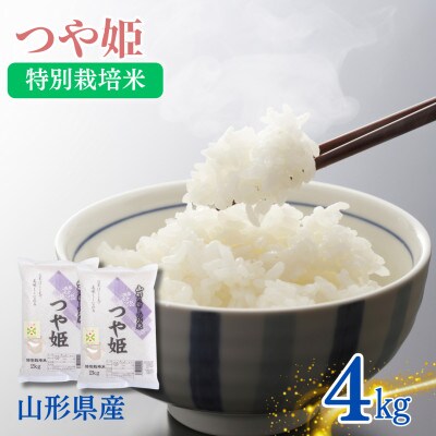 令和6年度産山形県産　特別栽培米　つや姫　4kg(2kg×2袋)(精米)【S1575】