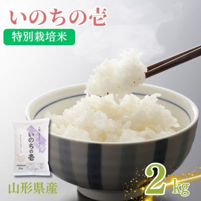 令和6年度産山形県産　特別栽培米　いのちの壱2kg(精米)【S1595】