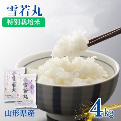 令和6年度産山形県産　特別栽培米　雪若丸　4kg(2kg×2袋)(精米)【S1583】