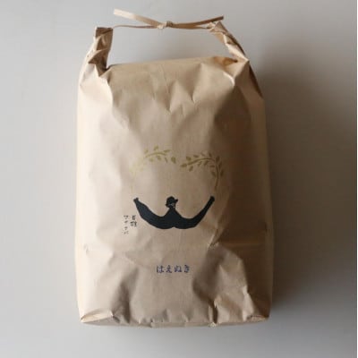 【令和6年産】山形県産はえぬき　精米5kg　【S1680】
