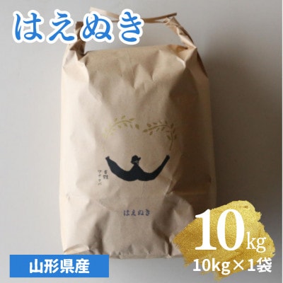 【令和6年産】山形県産はえぬき　精米10kg (10kg×1袋)【S1978】