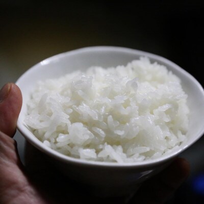 【令和6年産】山形県産雪若丸　精米10kg (10kg×1袋)【S1977】
