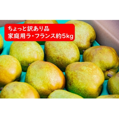 ちょっと訳あり家庭用ラ・フランス　約5kg【S1089】