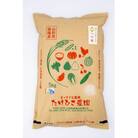 つや姫 5kg(精米)【S2362】