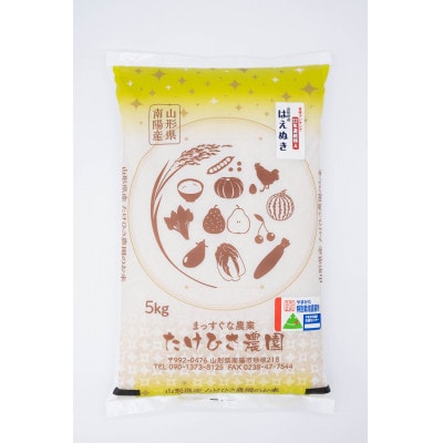 はえぬき 5kg×4袋 合計20kg(精米)【S2374】