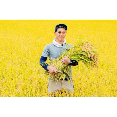 はえぬき 5kg(精米)【S2372】