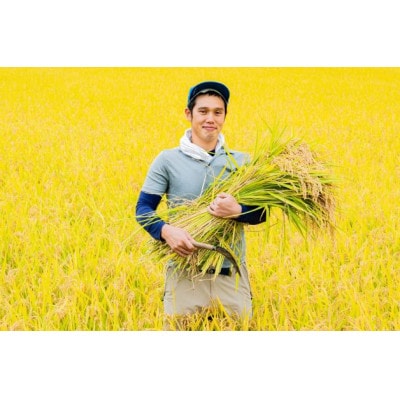 ひとめぼれ　5kg(精米)【S2368】