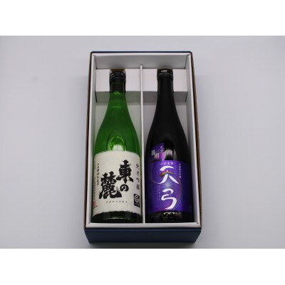 東の麓酒造の日本酒 純米吟醸 甘辛セット(純米吟醸 東の麓& 純米吟醸 天弓 喜雨)【S1902】