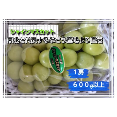 【東北を代表するぶどう産地から直送】シャインマスカット　1房(600g以上)【S2607】