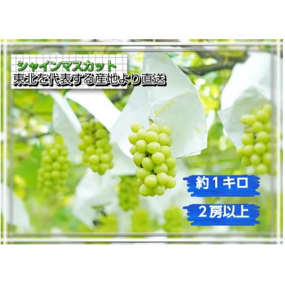 【東北を代表するぶどう産地から直送】シャインマスカット　約1kg(2房以上)【S2610】