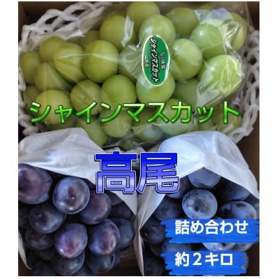 【大粒ぶどうの詰合せ】高尾・シャインマスカット　約2kg(計3房以上)【S2589】