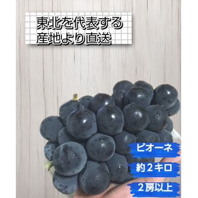 【東北を代表するぶどう産地から直送】ピオーネ　約2kg(2房以上)【S2591】