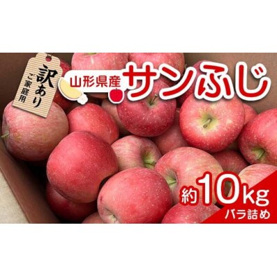 【訳あり品 家庭用】りんご「サンふじ」約10kg バラ詰め【S1959】